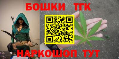 МДПВ Дубна
