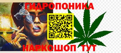 МДПВ Дубна