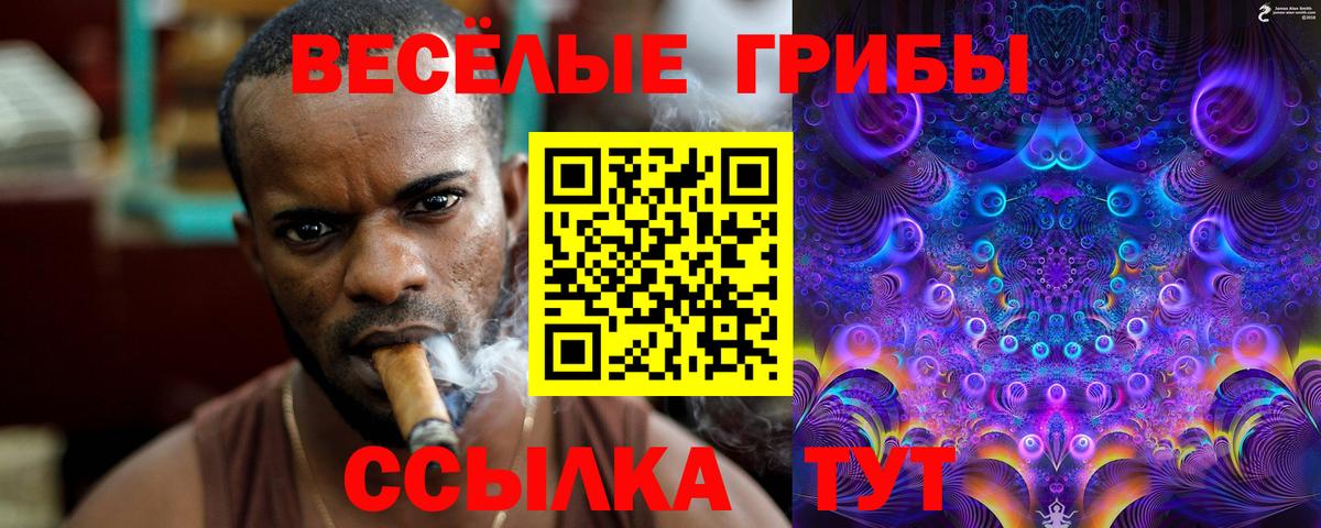 Галлюциногенные грибы GOLDEN TEACHER Малгобек